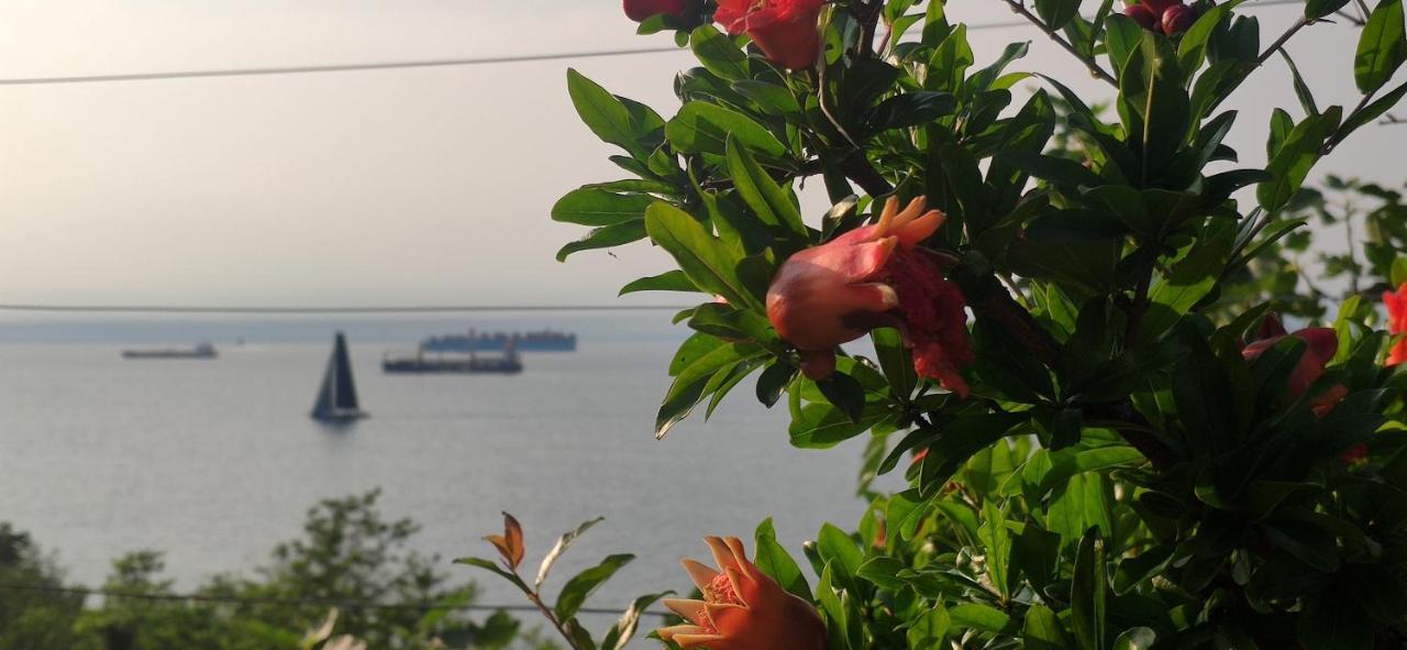 Sea Sun&Me Apartment Koper Bagian luar foto